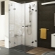Shower enclosures without a pallet: varieties and selection