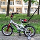 Children's two-wheeled bicycles with a handle: an overview of manufacturers and selection criteria