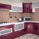 Glass fronts for the kitchen: what are they and how to care for them?