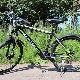Characteristics and features of Lorak bicycles