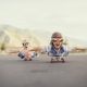 How to choose a skateboard for beginners?