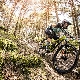 How to choose an XC bike?