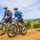 Which bike is better: Forward or Stels?