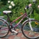 Overview of the Foxx range of bicycles