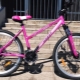 Horst bike review