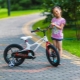 Features and best models of Royal Baby bikes
