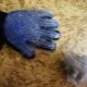 Gloves for combing pet hair: what are they and how to choose?