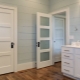 Plastic doors to the bathroom: varieties, selection, installation