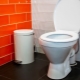 Toilet Sizes: Standard and Minimum, Helpful Guidelines