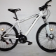 Variety of Nameless Bicycle Models