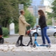 Shulz scooters: brand features and model characteristics