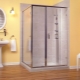 Glass doors for a shower cabin: varieties, selection, care