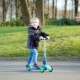 Three-wheeled scooters: types, rating of the best models and selection criteria