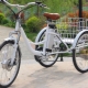 Tricycles for adults: types, pros and cons