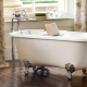 Legged bath: features and variety of models
