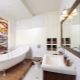 Design options for a bathtub combined with a toilet 5 sq. m