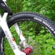 Maxxis bike tires: features and key characteristics