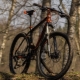 KTM bicycles: models, recommendations for selection