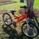 Larsen bicycles: models, tips for choosing
