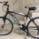 Bicycles Next: models, recommendations for selection