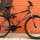 Stern bicycles: pros, cons and characteristics of the models