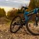 Stinger bicycles: features, best models and tips for choosing