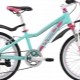 Welt bicycles: model characteristics and tips for choosing