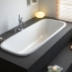 Built-in bathtubs: types, tips for choosing
