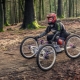 Adult four-wheeled bicycles