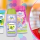 Baby cosmetics Little fairy: brand information and assortment