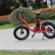 Children's electric bicycles: varieties, brands, choices, rules of use