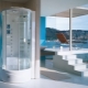 Doors for a shower cabin: description of types, design and selection rules
