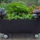 How can you use an old bathtub in your summer cottage?
