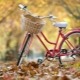 Budget bike review and tips for choosing them