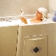 Hip acrylic bathtubs: features and types