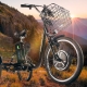 Electric tricycles: varieties, brands, choice