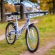Stels bicycles: pros and cons, varieties and tips for choosing