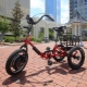 Adult electric tricycles: features, brands, choices, uses