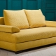 Pushe sofas: description and selection features