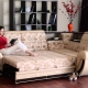 Dolphin sofas: features and tips for choosing