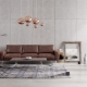 Brown sofas in the interior
