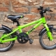 Popular Frog Bicycle Models