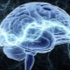 What is sensory memory and how can you train it?