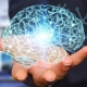 How to improve memory and brain function?