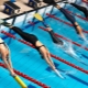 How to choose pool fins?