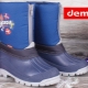 Demar snowboards: description, models, tips for choosing