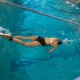 Pool swimming simulators: varieties, tips for use and selection