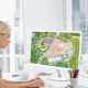 Landscape architect: description of the profession, training and necessary skills