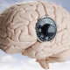 Conceptual thinking: what is it and how to develop it?