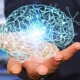 Exercises for the brain and memory
